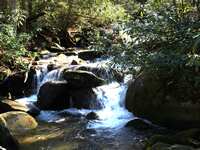 Fun things to do in Brevard NC : Brook in Roaring Fork in Gatlinburg TN. 